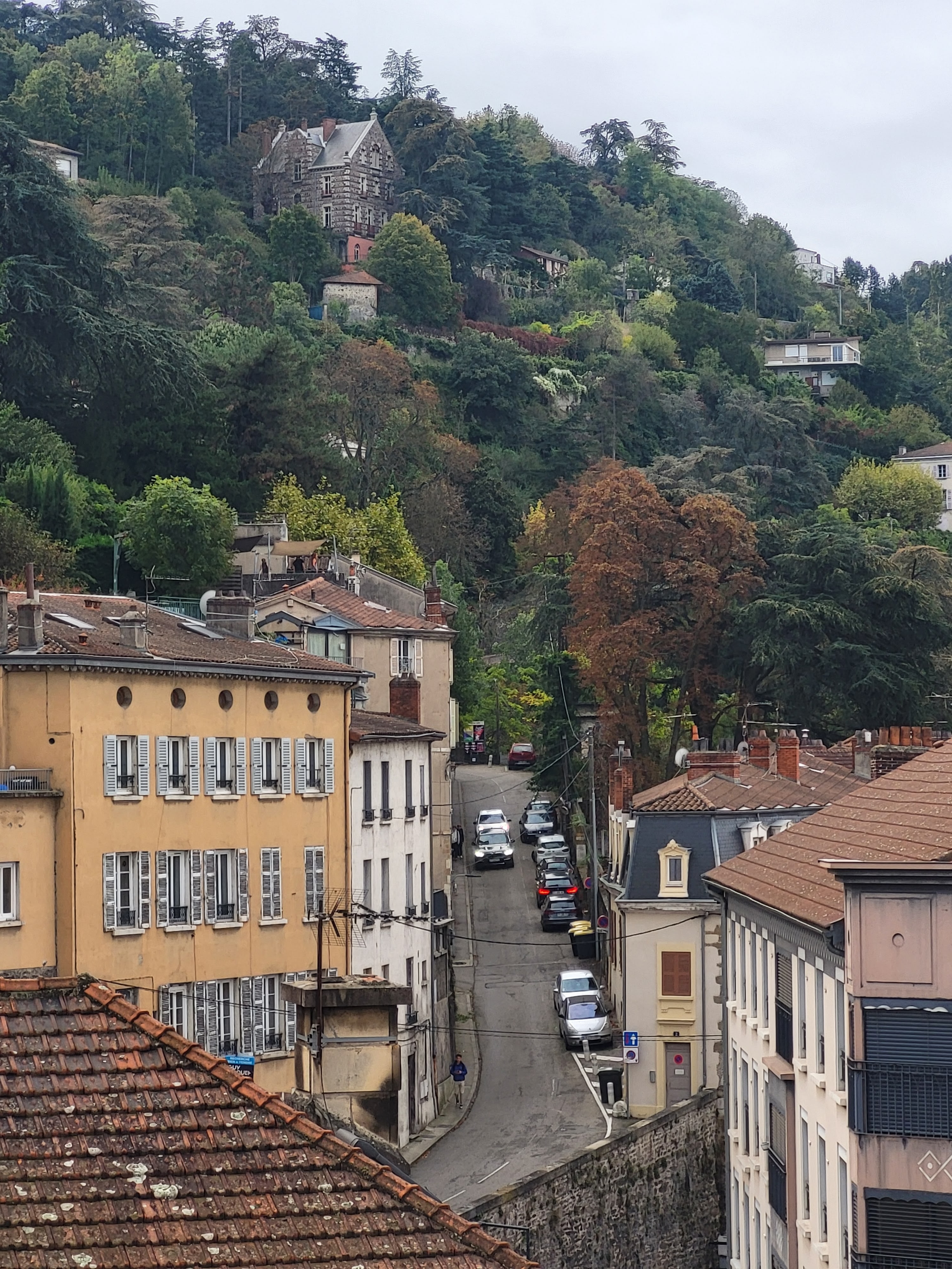 Vue sur les toits et les bâtiments de Vienne, en Isère, avec une colline boisée en arrière-plan, illustrant l’environnement local d’un artisan ramoneur professionnel.